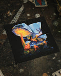 LE JARDIN DES CHAMPIGNONS (nuit)