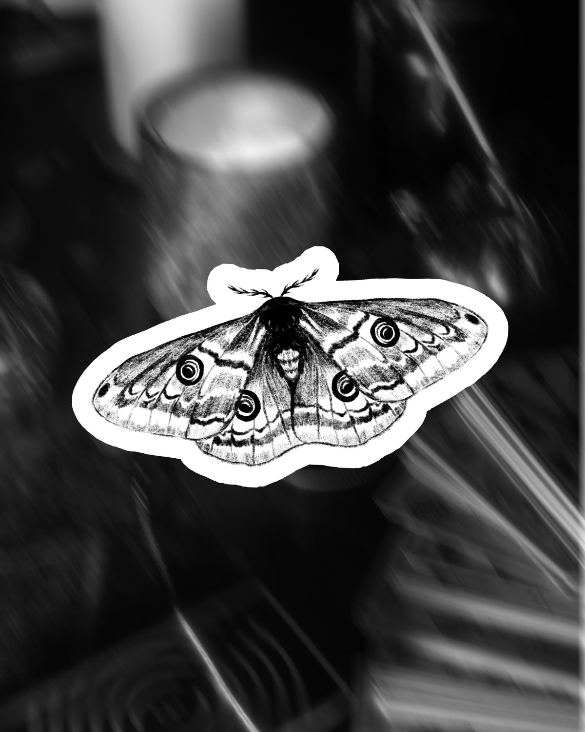 LE STICKERS PAPILLON DE NUIT